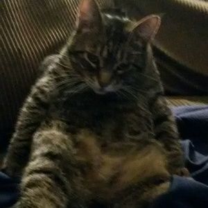 Meet your Posher, Wendy